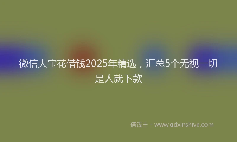 微信大宝花借钱2025年精选，汇总5个无视一切是人就下款