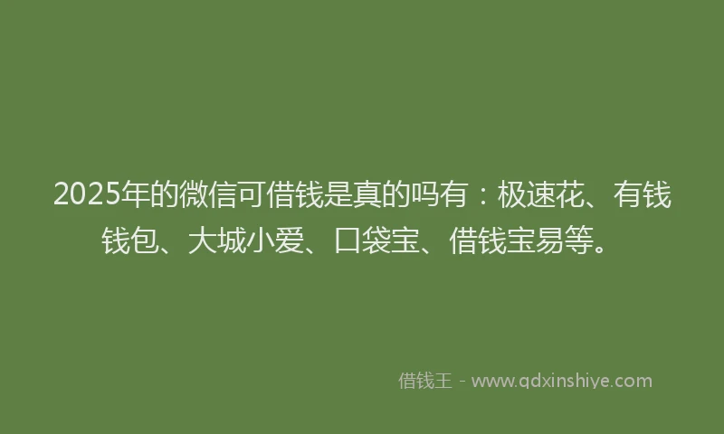 2025年的微信可借钱是真的吗有：极速花、有钱钱包、大城小爱、口袋宝、借钱宝易等。