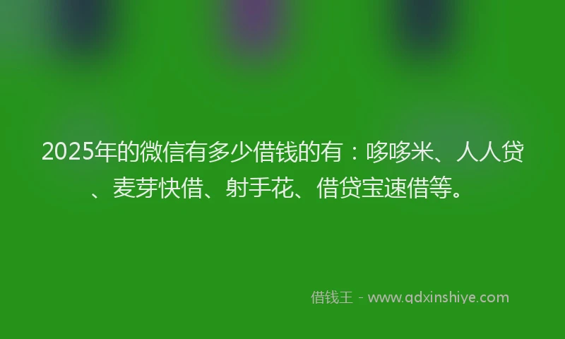 2025年的微信有多少借钱的有：哆哆米、人人贷、麦芽快借、射手花、借贷宝速借等。