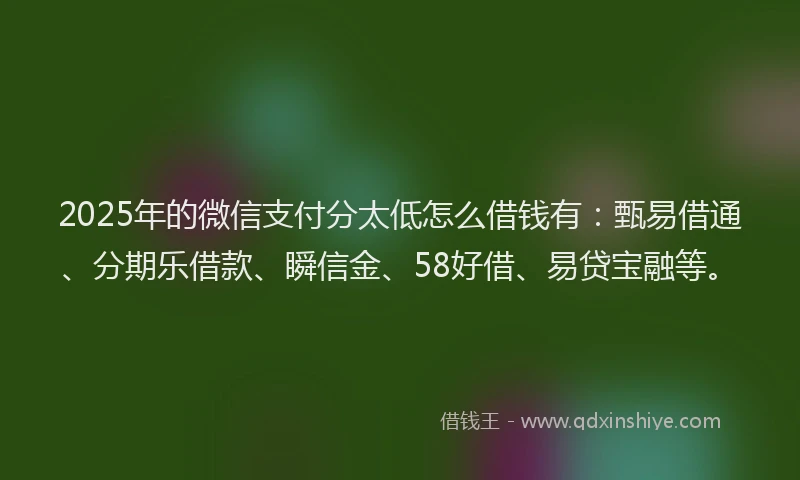 2025年的微信支付分太低怎么借钱有：甄易借通、分期乐借款、瞬信金、58好借、易贷宝融等。