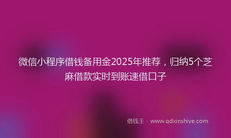 微信小程序借钱备用金2025年推荐，归纳5个芝麻借款实时到账速借口子