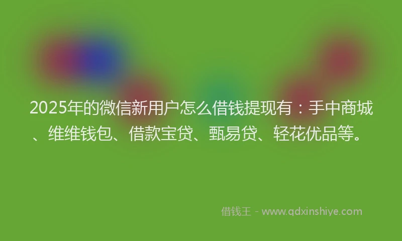 2025年的微信新用户怎么借钱提现有：手中商城、维维钱包、借款宝贷、甄易贷、轻花优品等。