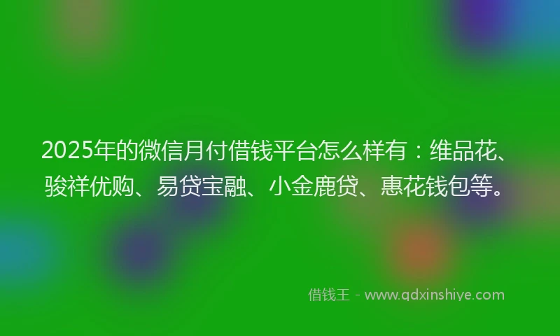 2025年的微信月付借钱平台怎么样有：维品花、骏祥优购、易贷宝融、小金鹿贷、惠花钱包等。