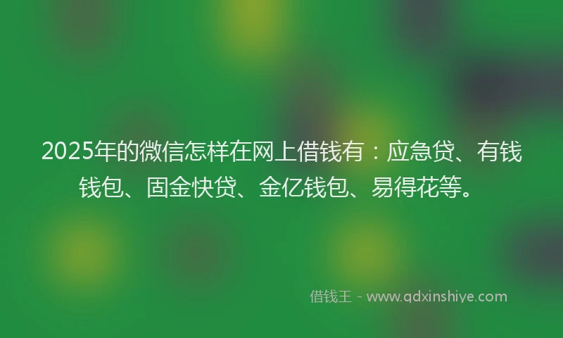 2025年的微信怎样在网上借钱有：应急贷、有钱钱包、固金快贷、金亿钱包、易得花等。
