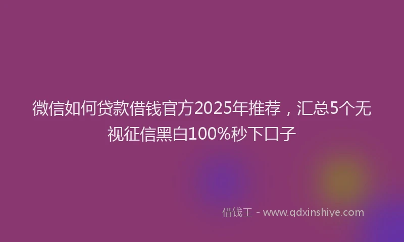 微信如何贷款借钱官方2025年推荐，汇总5个无视征信黑白100%秒下口子