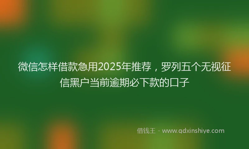 微信怎样借款急用2025年推荐，罗列五个无视征信黑户当前逾期必下款的口子