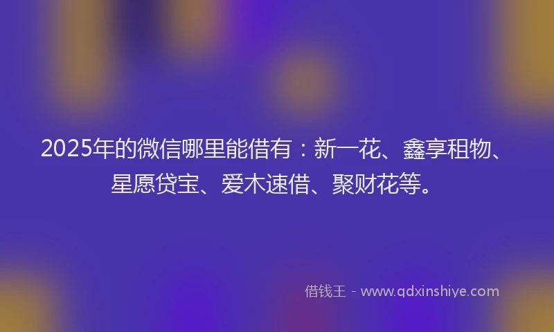 2025年的微信哪里能借有：新一花、鑫享租物、星愿贷宝、爱木速借、聚财花等。