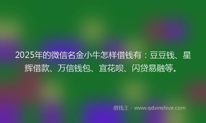 2025年的微信名金小牛怎样借钱有：豆豆钱、星辉借款、万信钱包、宜花呗、闪贷易融等。