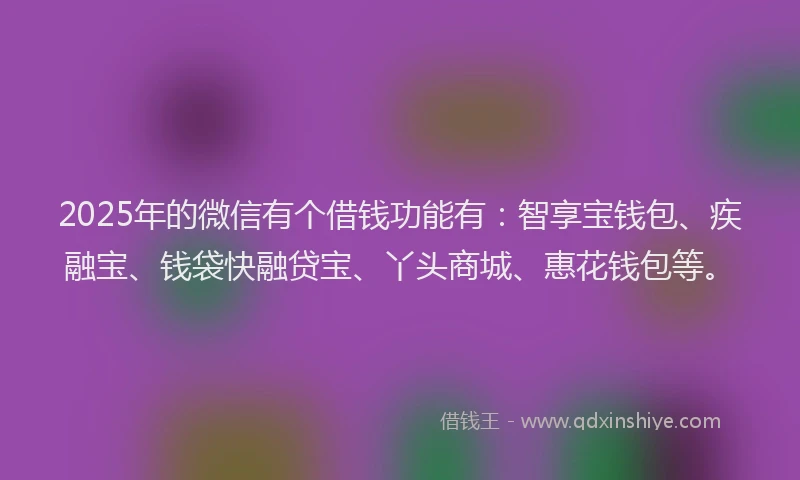 2025年的微信有个借钱功能有：智享宝钱包、疾融宝、钱袋快融贷宝、丫头商城、惠花钱包等。
