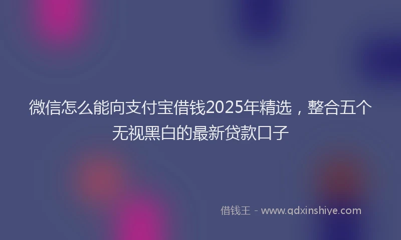 微信怎么能向支付宝借钱2025年精选，整合五个无视黑白的最新贷款口子