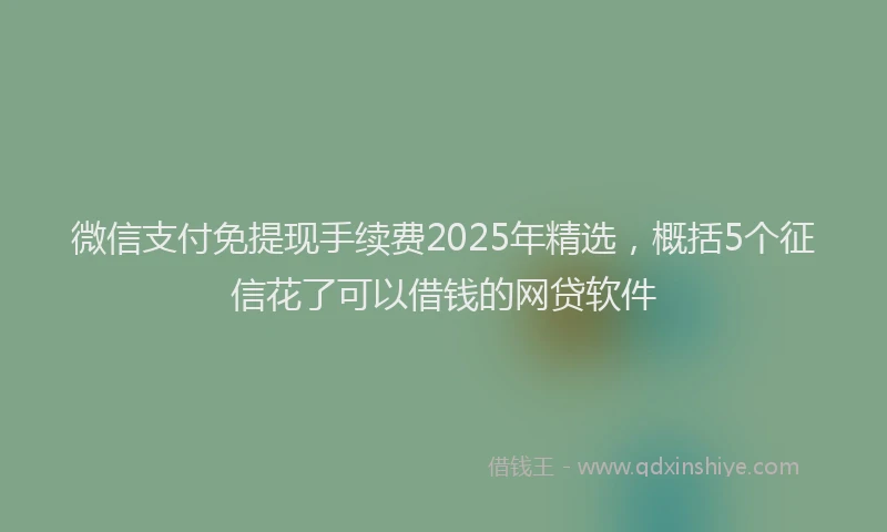 微信支付免提现手续费2025年精选，概括5个征信花了可以借钱的网贷软件