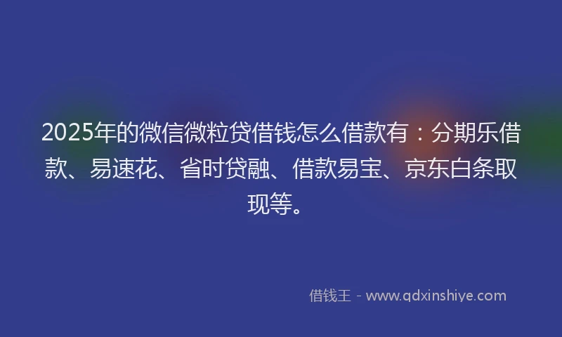 2025年的微信微粒贷借钱怎么借款有：分期乐借款、易速花、省时贷融、借款易宝、京东白条取现等。