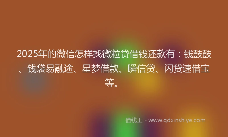 2025年的微信怎样找微粒贷借钱还款有：钱鼓鼓、钱袋易融途、星梦借款、瞬信贷、闪贷速借宝等。
