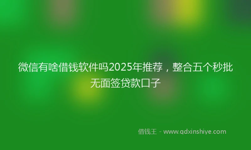 微信有啥借钱软件吗2025年推荐，整合五个秒批无面签贷款口子