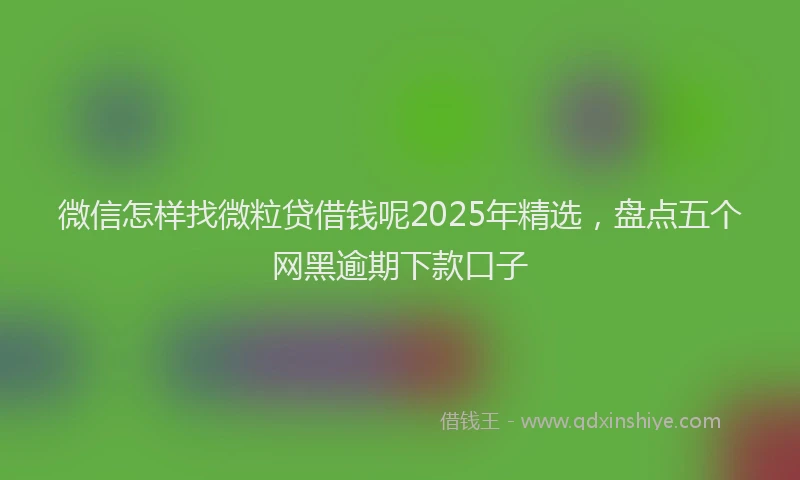 微信怎样找微粒贷借钱呢2025年精选，盘点五个网黑逾期下款口子