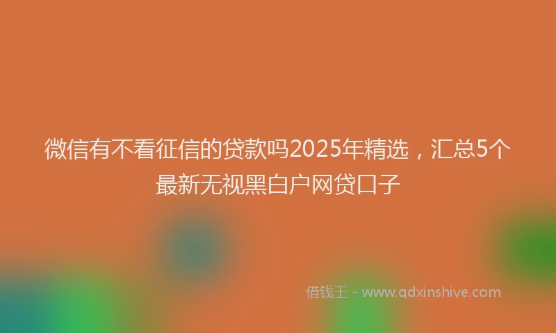 微信有不看征信的贷款吗2025年精选，汇总5个最新无视黑白户网贷口子