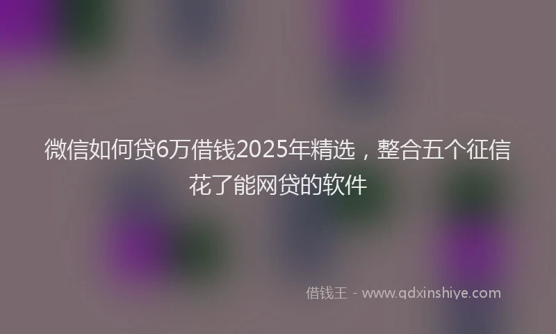 微信如何贷6万借钱2025年精选，整合五个征信花了能网贷的软件