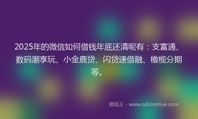 2025年的微信如何借钱年底还清呢有：支富通、数码潮享玩、小金鹿贷、闪贷速借融、橄榄分期等。