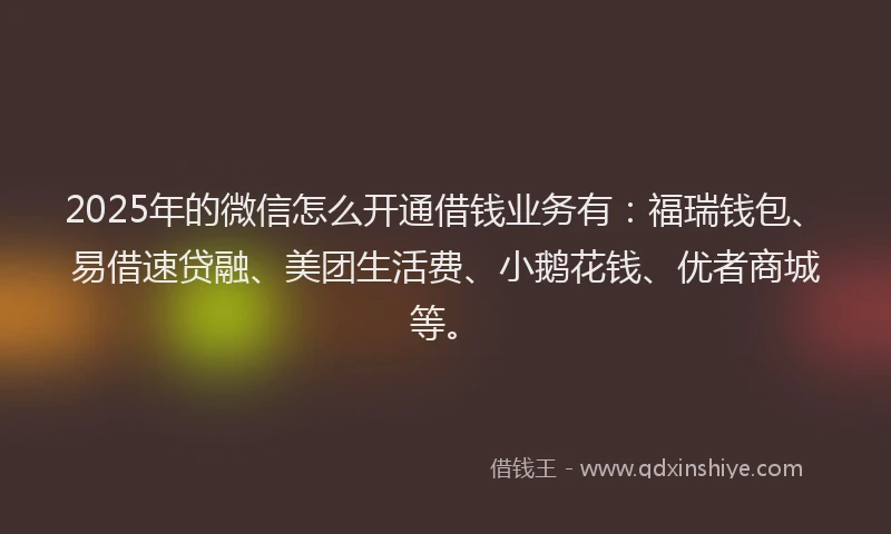 2025年的微信怎么开通借钱业务有：福瑞钱包、易借速贷融、美团生活费、小鹅花钱、优者商城等。