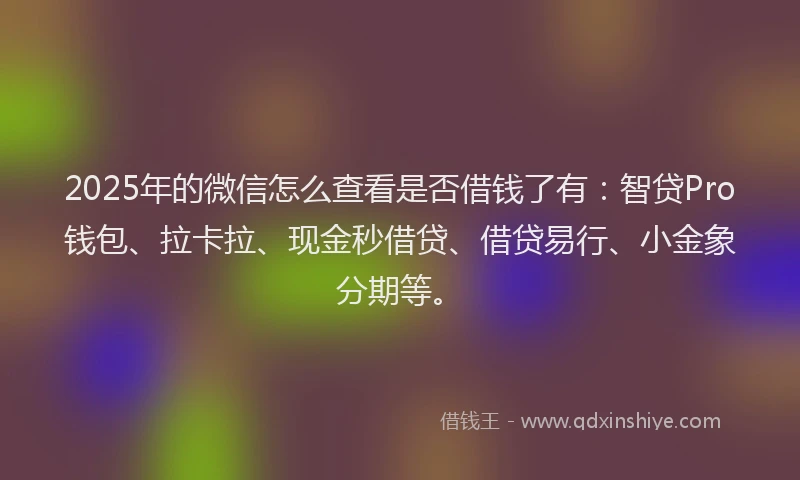 2025年的微信怎么查看是否借钱了有：智贷Pro钱包、拉卡拉、现金秒借贷、借贷易行、小金象分期等。