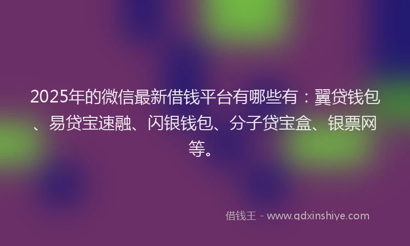 2025年的微信最新借钱平台有哪些有：翼贷钱包、易贷宝速融、闪银钱包、分子贷宝盒、银票网等。