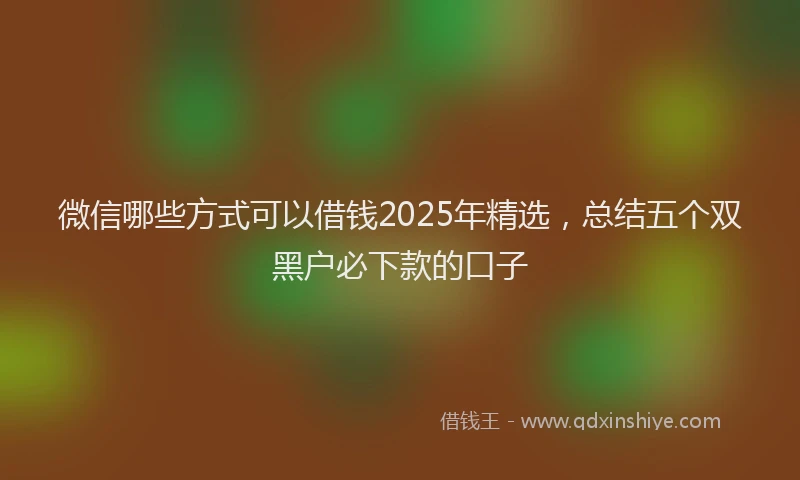 微信哪些方式可以借钱2025年精选，总结五个双黑户必下款的口子