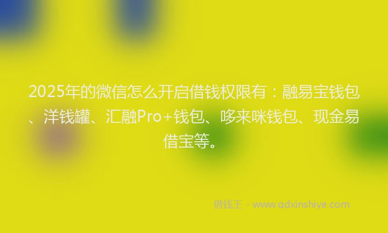 2025年的微信怎么开启借钱权限有：融易宝钱包、洋钱罐、汇融Pro+钱包、哆来咪钱包、现金易借宝等。