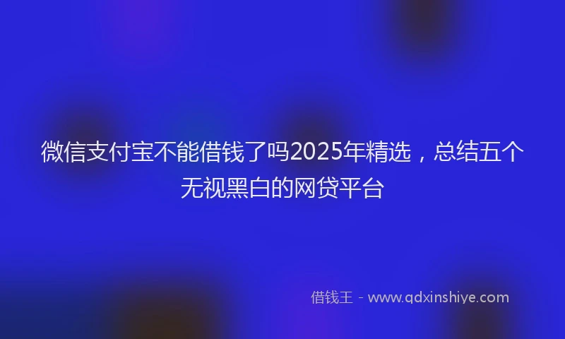 微信支付宝不能借钱了吗2025年精选，总结五个无视黑白的网贷平台