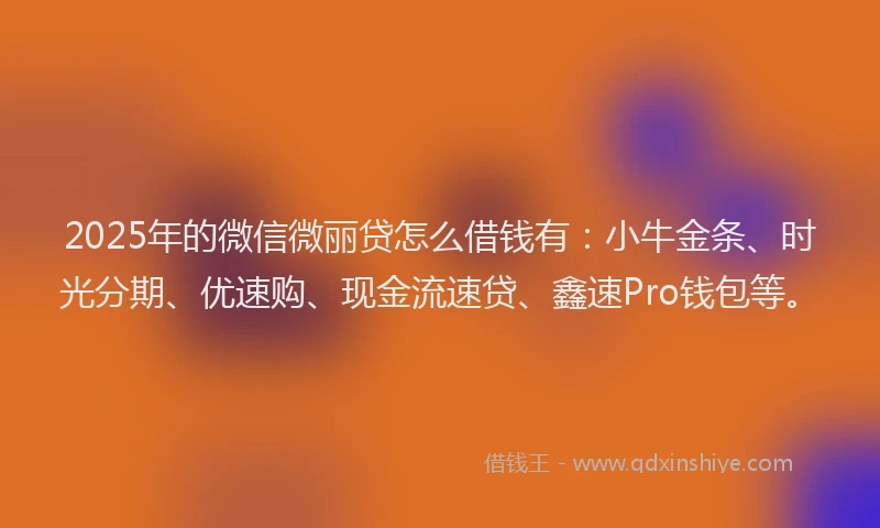 2025年的微信微丽贷怎么借钱有：小牛金条、时光分期、优速购、现金流速贷、鑫速Pro钱包等。