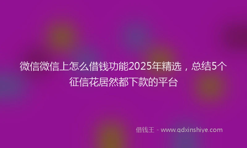 微信微信上怎么借钱功能2025年精选，总结5个征信花居然都下款的平台