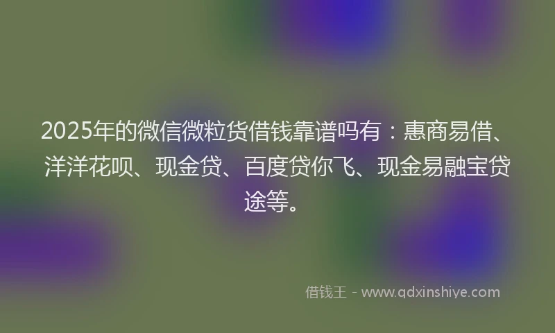 2025年的微信微粒货借钱靠谱吗有：惠商易借、洋洋花呗、现金贷、百度贷你飞、现金易融宝贷途等。