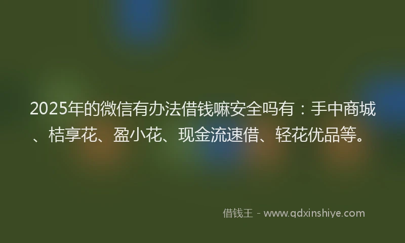 2025年的微信有办法借钱嘛安全吗有：手中商城、桔享花、盈小花、现金流速借、轻花优品等。