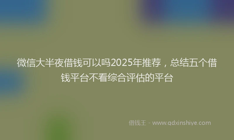 微信大半夜借钱可以吗2025年推荐，总结五个借钱平台不看综合评估的平台