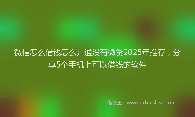 微信怎么借钱怎么开通没有微贷2025年推荐，分享5个手机上可以借钱的软件