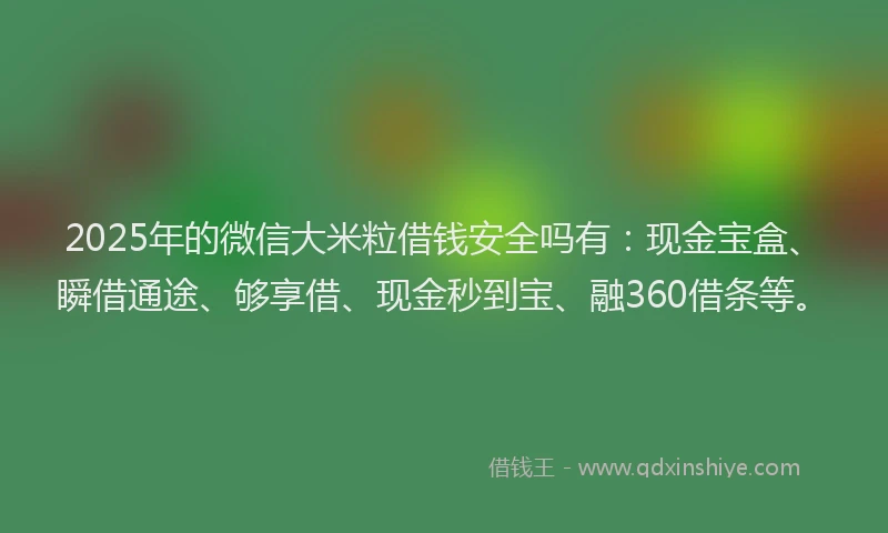 2025年的微信大米粒借钱安全吗有：现金宝盒、瞬借通途、够享借、现金秒到宝、融360借条等。