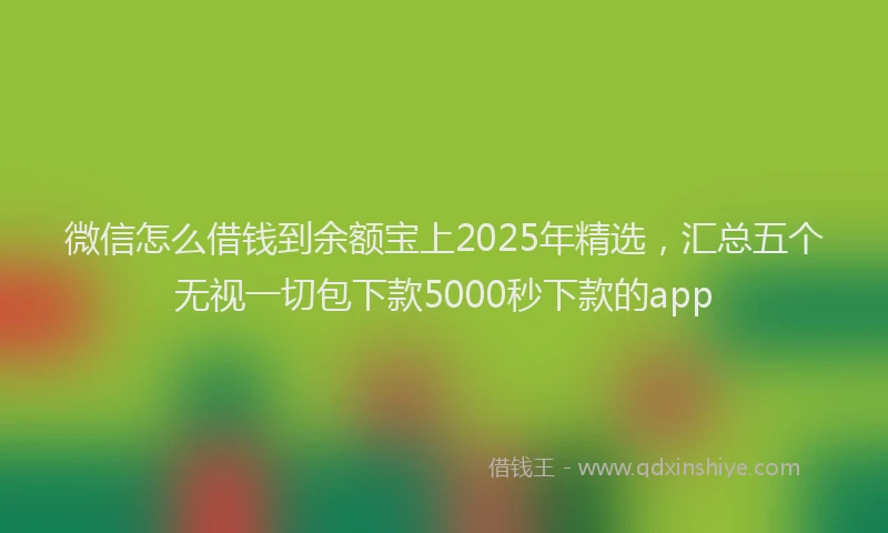 微信怎么借钱到余额宝上2025年精选，汇总五个无视一切包下款5000秒下款的app