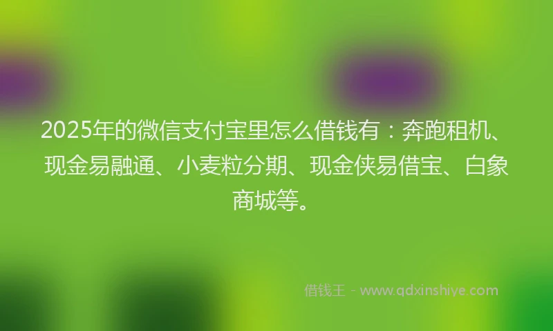2025年的微信支付宝里怎么借钱有：奔跑租机、现金易融通、小麦粒分期、现金侠易借宝、白象商城等。