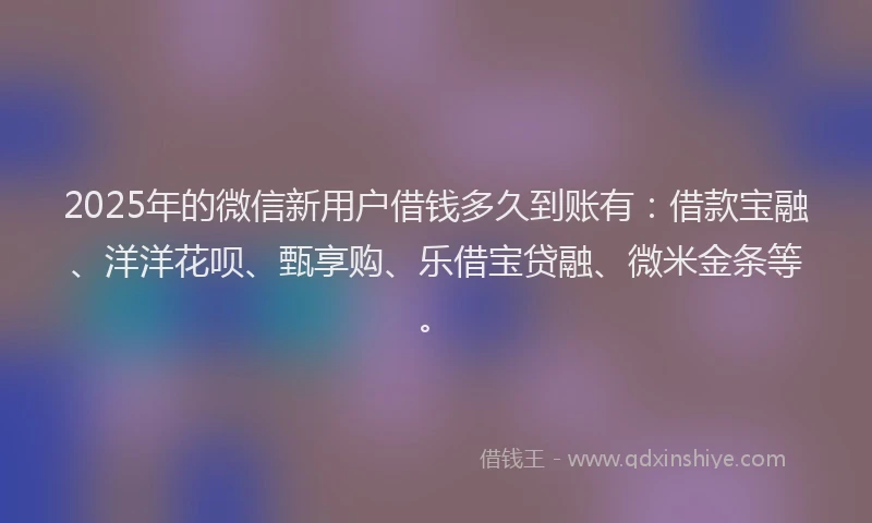 2025年的微信新用户借钱多久到账有：借款宝融、洋洋花呗、甄享购、乐借宝贷融、微米金条等。