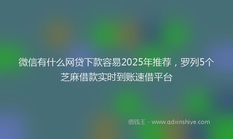 微信有什么网贷下款容易2025年推荐，罗列5个芝麻借款实时到账速借平台