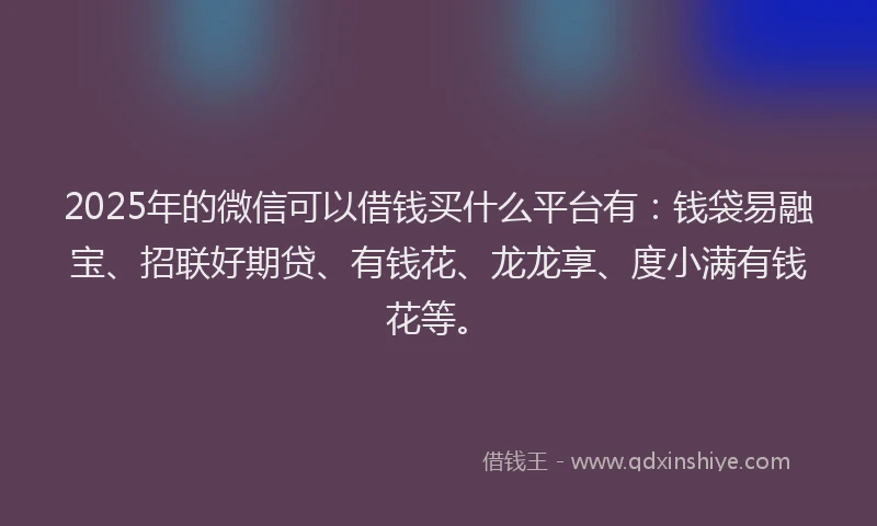 2025年的微信可以借钱买什么平台有：钱袋易融宝、招联好期贷、有钱花、龙龙享、度小满有钱花等。