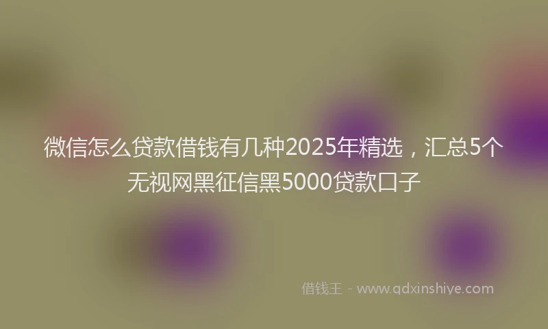 微信怎么贷款借钱有几种2025年精选，汇总5个无视网黑征信黑5000贷款口子