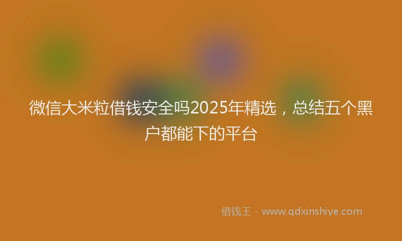 微信大米粒借钱安全吗2025年精选，总结五个黑户都能下的平台