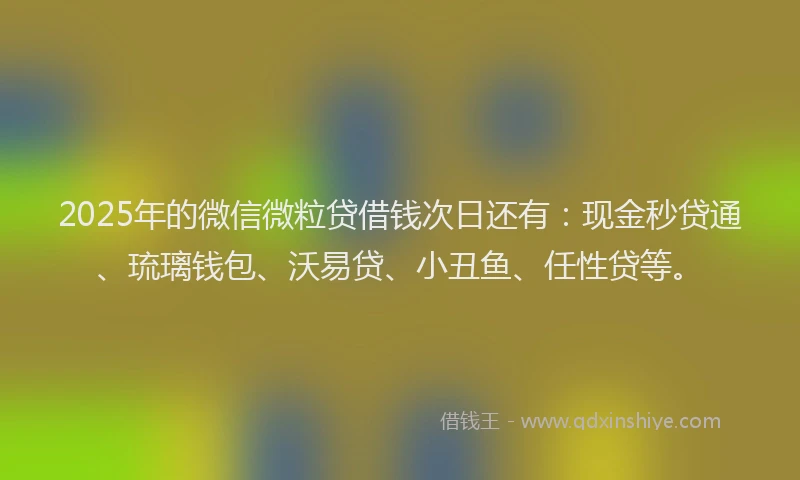2025年的微信微粒贷借钱次日还有：现金秒贷通、琉璃钱包、沃易贷、小丑鱼、任性贷等。
