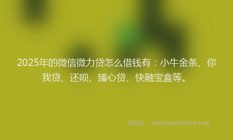 2025年的微信微力贷怎么借钱有：小牛金条、你我贷、还呗、臻心贷、快融宝盒等。