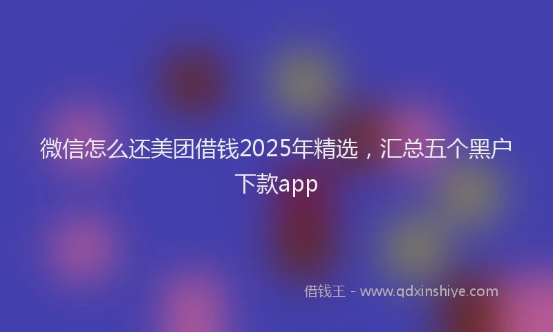 微信怎么还美团借钱2025年精选，汇总五个黑户下款app