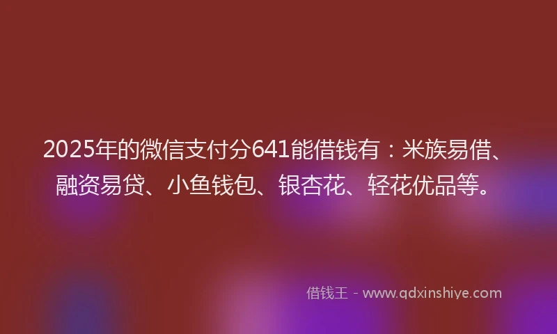 2025年的微信支付分641能借钱有：米族易借、融资易贷、小鱼钱包、银杏花、轻花优品等。
