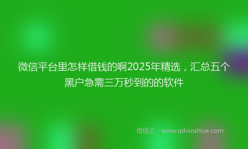 微信平台里怎样借钱的啊2025年精选，汇总五个黑户急需三万秒到的的软件