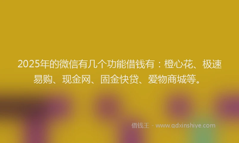 2025年的微信有几个功能借钱有：橙心花、极速易购、现金网、固金快贷、爱物商城等。