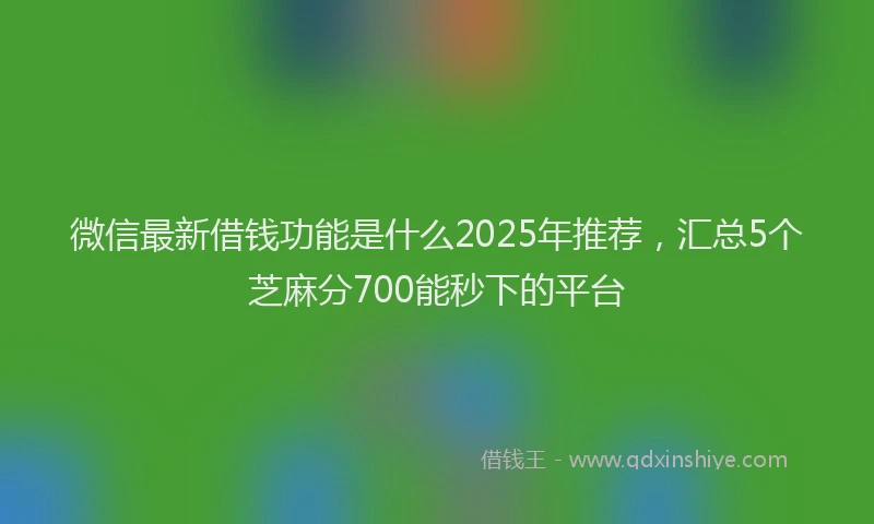 微信最新借钱功能是什么2025年推荐，汇总5个芝麻分700能秒下的平台