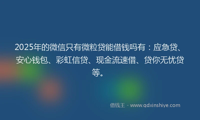 2025年的微信只有微粒贷能借钱吗有：应急贷、安心钱包、彩虹信贷、现金流速借、贷你无忧贷等。